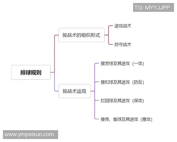 成都排球队的战术解析与技术控制深度研究 成都排球队的战术解析与技术控制深度研究
